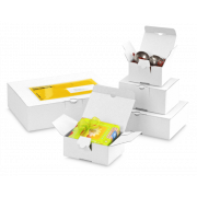 QUICK-BOX® weiß mit Blitzboden
