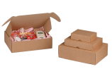 Klappschachtel mit Einstecklaschen