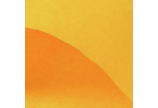 607.021