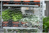 Wickelnetz für Paletten FLEX-NET 
