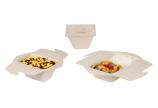 To-Go-Box aus Zellstoff