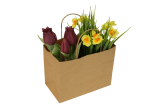 Die Papiertasche eignet sich auch f&uuml;r Blumen, Kr&auml;uter oder kleine Pfl&auml;nzchen.