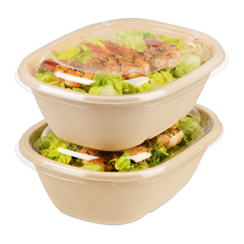 Bagasse Schalen & Bagasse Teller