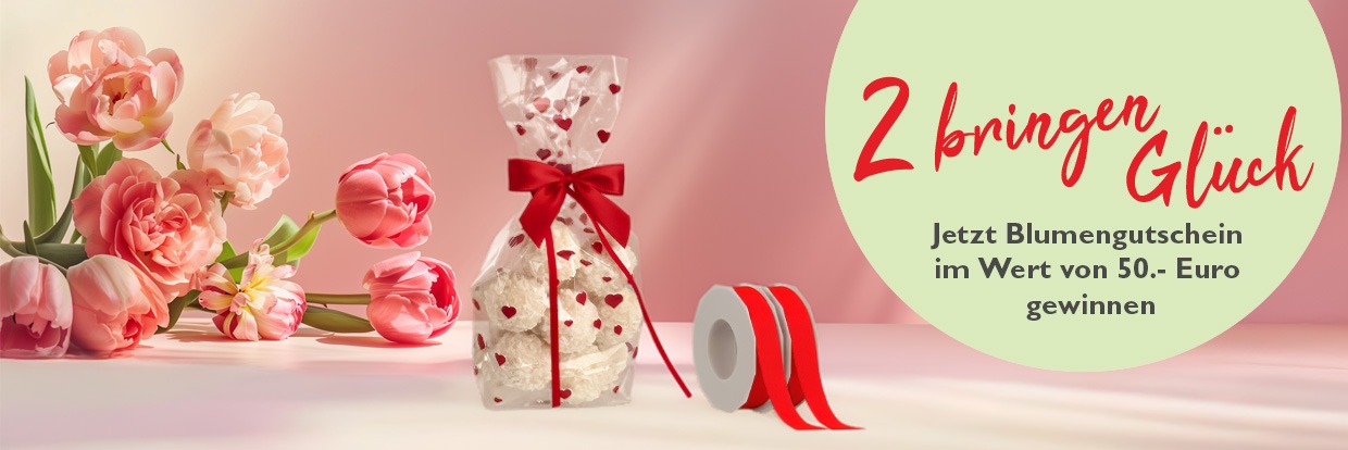 Banner zur Weihnachtsaktion von Rausch 