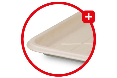 material-bagasse