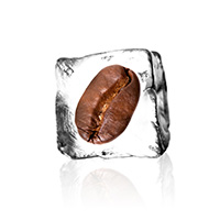 Kaffeebohne im Eiswürfel