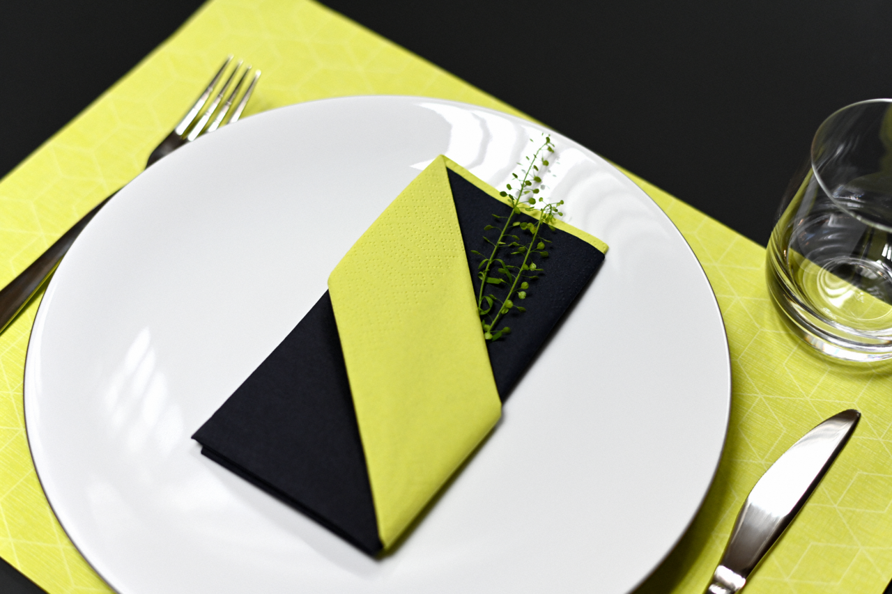 Serviette raffinée pliée avec art – pour une décoration de table élégante 