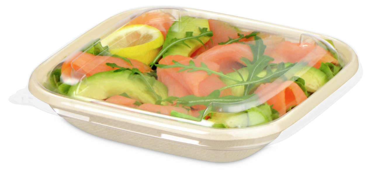 adapté pour le bol en bagasse rechtangulaire