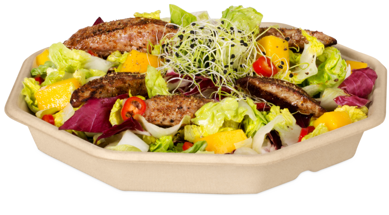 Bol en bagasse octogonal