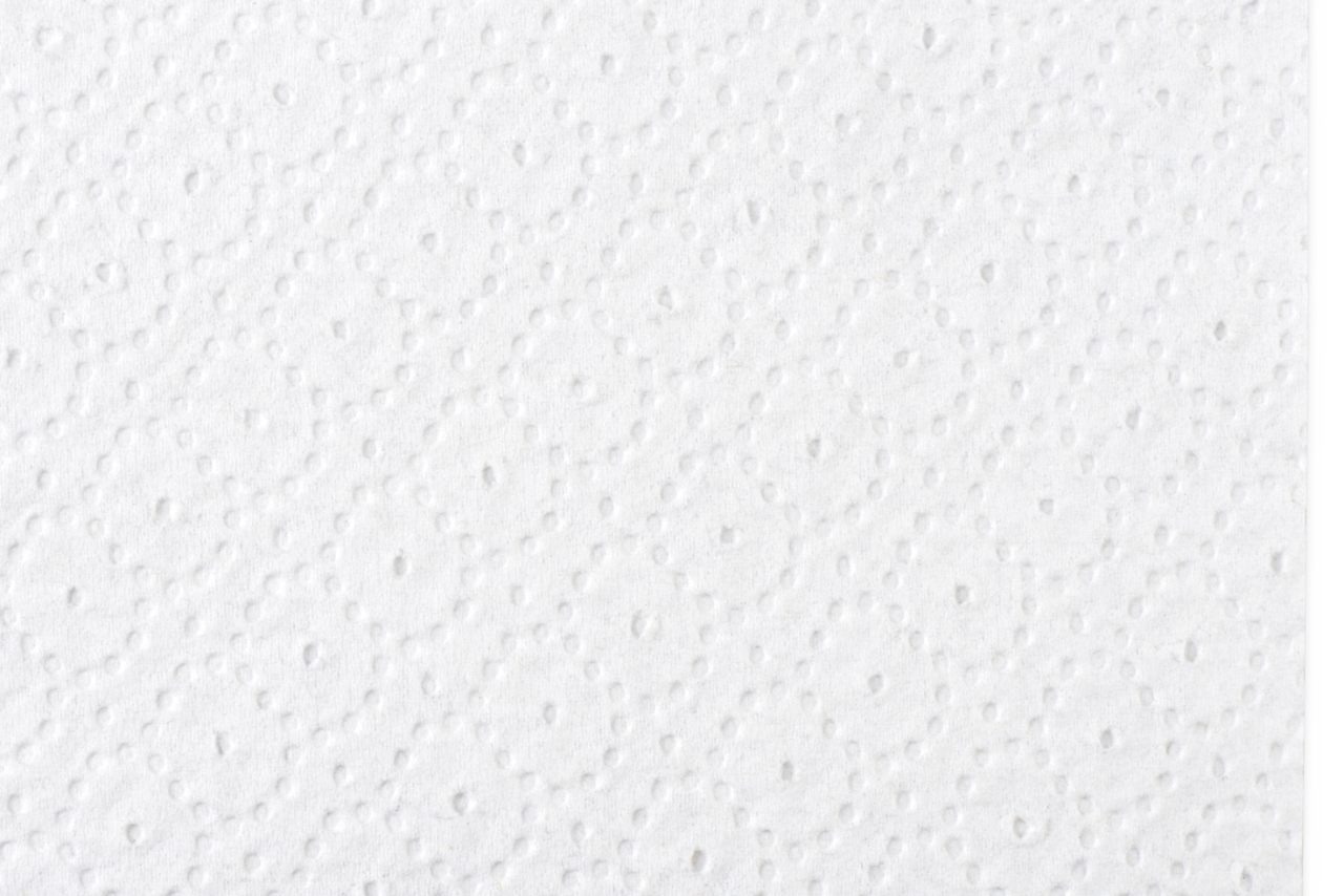 Papier toilette RECYCLE COMFORT