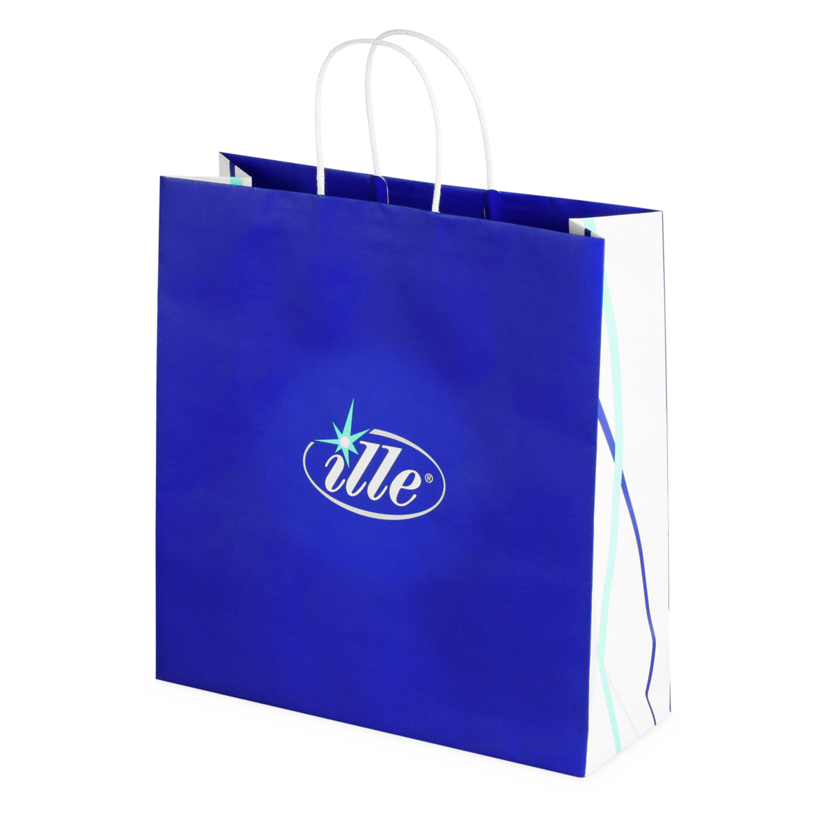 Imprimer sac en papier à poignées torsadées 