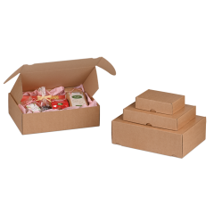 Boîte pliante avec languettes d'insertion