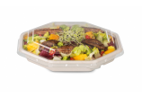 Assorti au bol octogonal en bagasse – pour un transport sûr et une fraîcheur prolongée