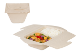 To-Go-Box en cellulose