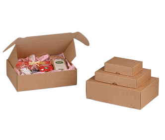 Boîte pliante avec languettes d'insertion