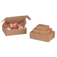 Boîte pliante avec languettes d'insertion