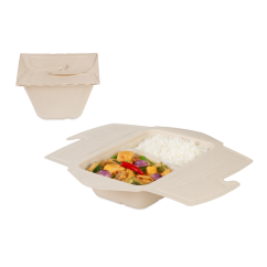 To-Go-Box en cellulose