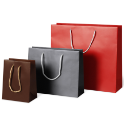 Sac à emporter CITYLINE CLASSIC