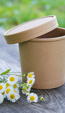 Alternatives en papier ou en carton
