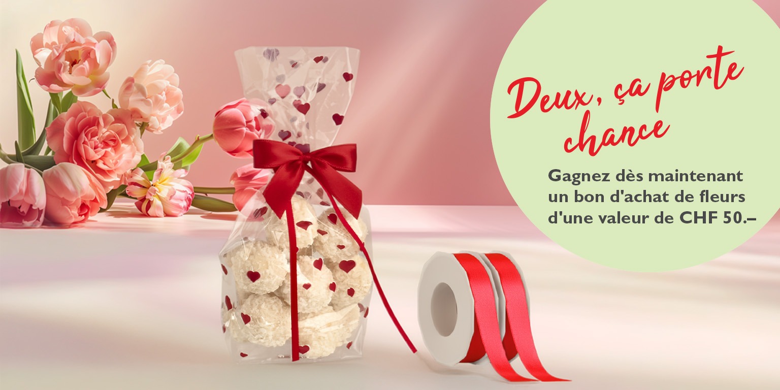 Banner zur Weihnachtsaktion von Rausch 