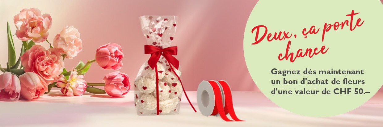 Banner zur Weihnachtsaktion von Rausch 