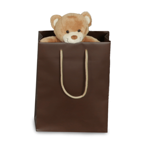 Ours en peluche dans un sac de transport marron