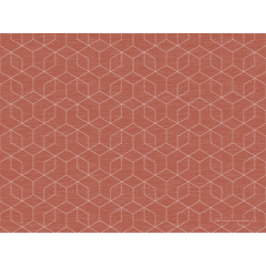 Bio-Tischset Dunicel 30×40 cm, Graphics earth terra