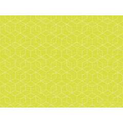 Bio-Tischset Dunicel 30×40 cm, Graphics kiwi