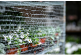 Wickelnetz für Stretchmaschinen FLEX-NET
