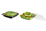 Salatschale aus PET quadratisch mit Deckel