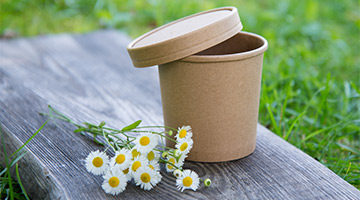 Suppenbecher in der Natur