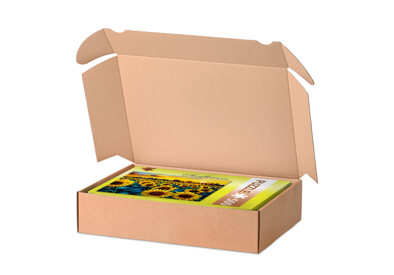 DHL Kleinpaket Karton mit Einstecklaschen