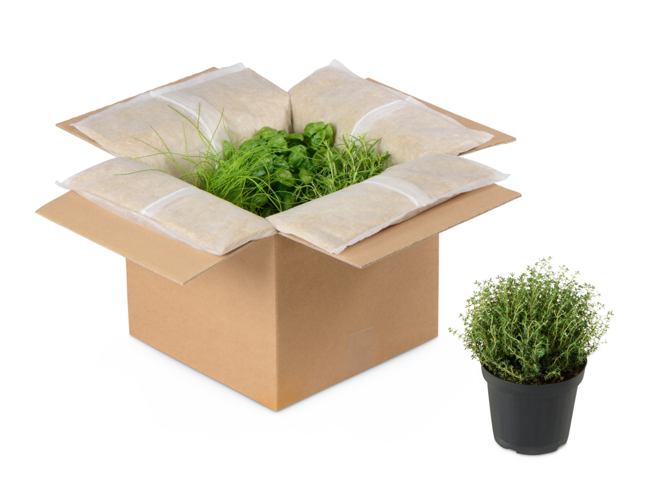 Thermo-Faltbox Hanf  MECATHERM®