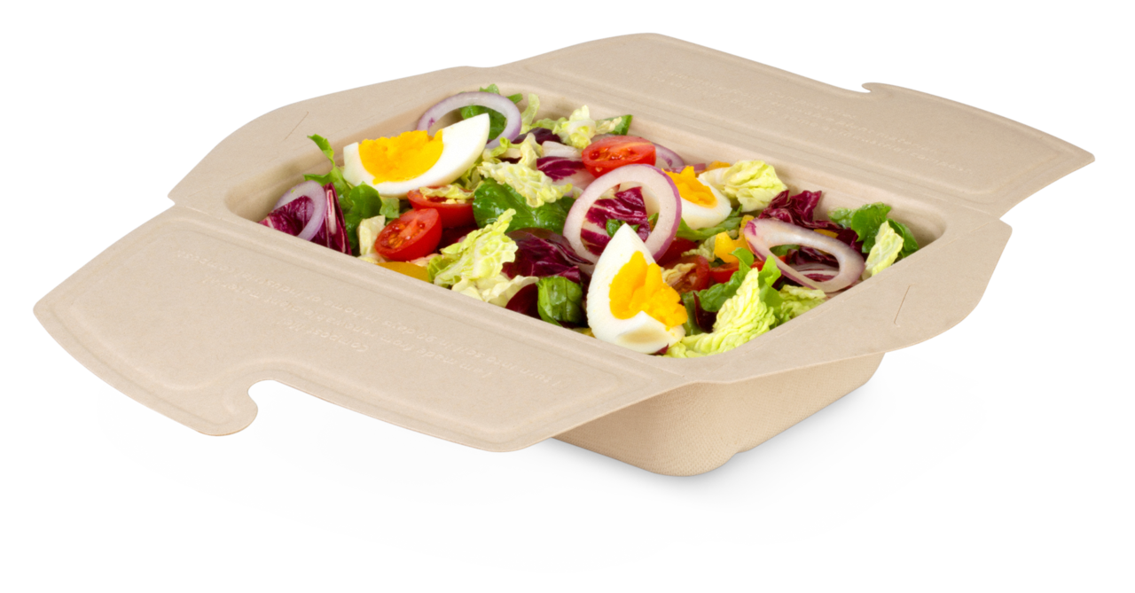 To-Go-Box aus Zellstoff