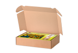 DHL Kleinpaket Karton mit Einstecklaschen