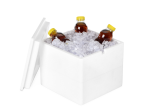 Thermo-Box Styropor® MECATHERM® LIGHT (EPS / Airpop®)