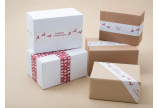 Papier-Packband mit Druck