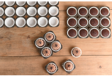Muffin-Tray mit 24 Cups