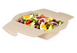 To-Go-Box aus Zellstoff