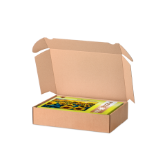 DHL Kleinpaket Karton mit Einstecklaschen