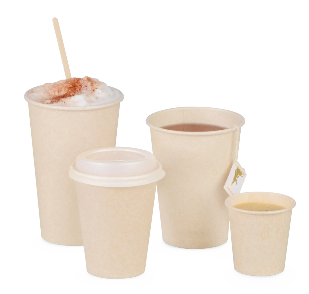 Zuckerrohr Becher SWEET