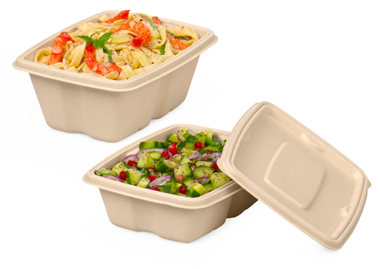 Schale aus Bagasse rechteckig & Deckel