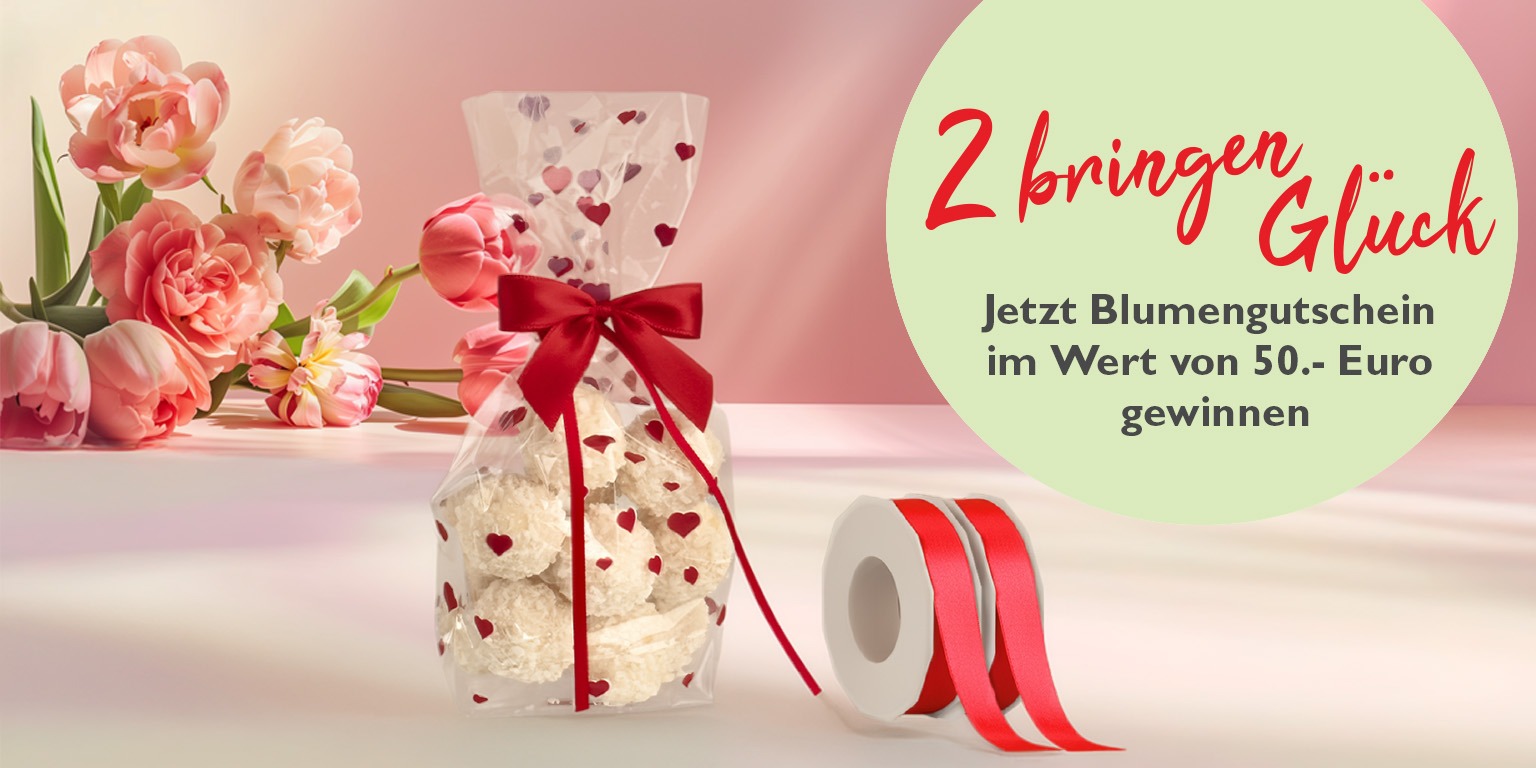 Banner zur Weihnachtsaktion von Rausch 