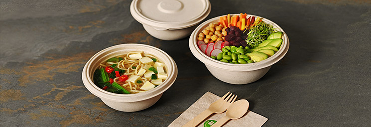 Nachhaltige Lebensmittelverpackungen aus Bagasse Nachhaltige Lebensmittelverpackungen aus Bagasse