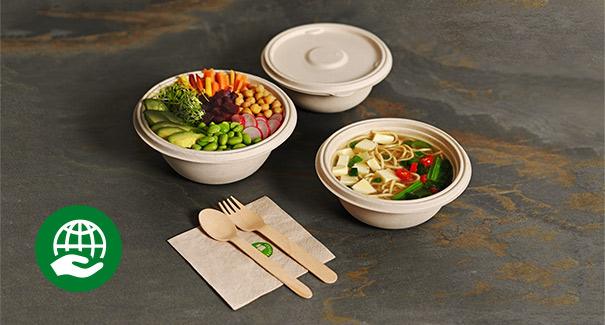 Nachhaltige Lebensmittelverpackungen aus Bagasse Nachhaltige Lebensmittelverpackungen aus Bagasse