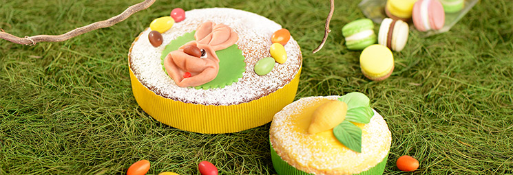 Frühlingshafte Osterverpackungen auf einer grüner Wiese Frühlingshafte Osterverpackungen auf einer grüner Wiese