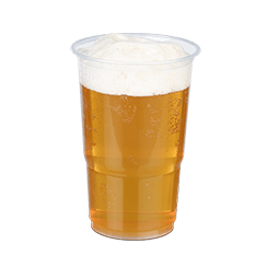 Festivals & Konzerte