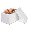 Thermo- & Isolierverpackungen